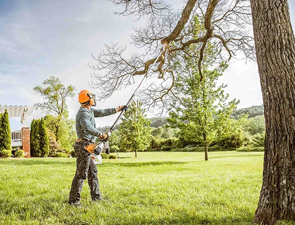 Expert Tree Pruning Services